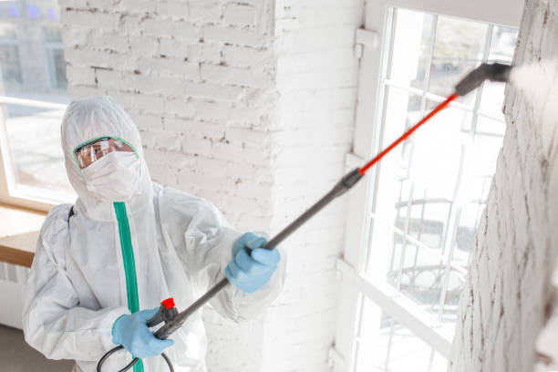 Best Mold Prevention Services  in Ridgway, PA