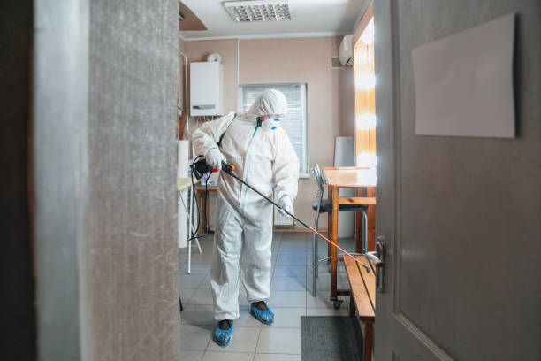 Best Residential Mold Inspection & Testing  in Ridgway, PA